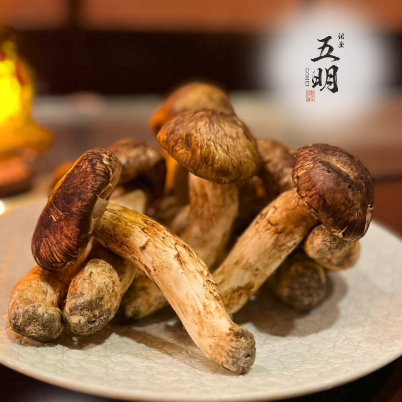 五明からのお知らせ